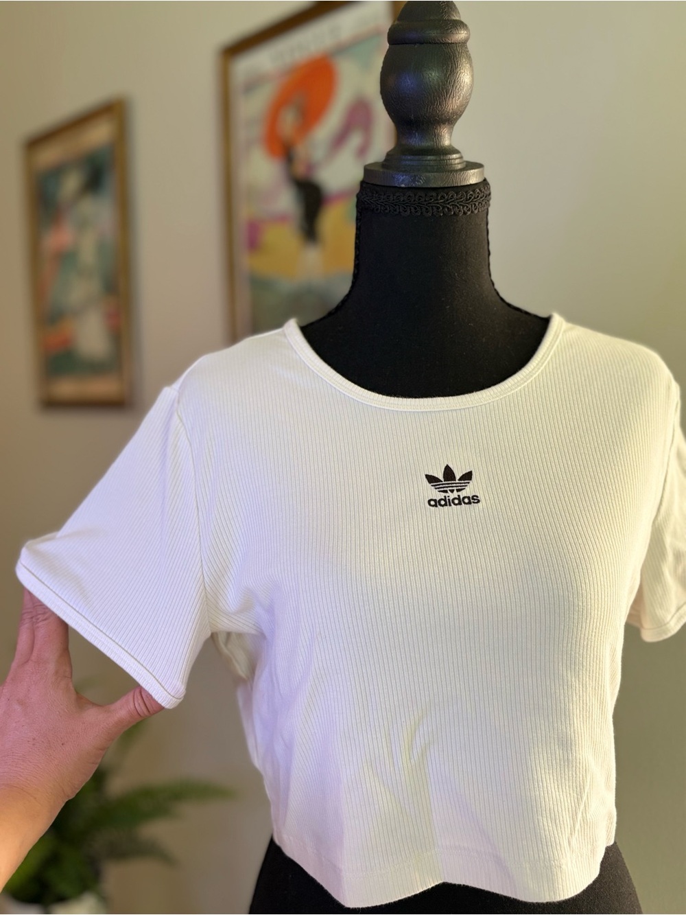 adidas White Ribbed Cropped Tee with Trefoil